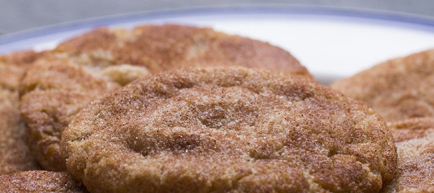 snickerdoodles up close