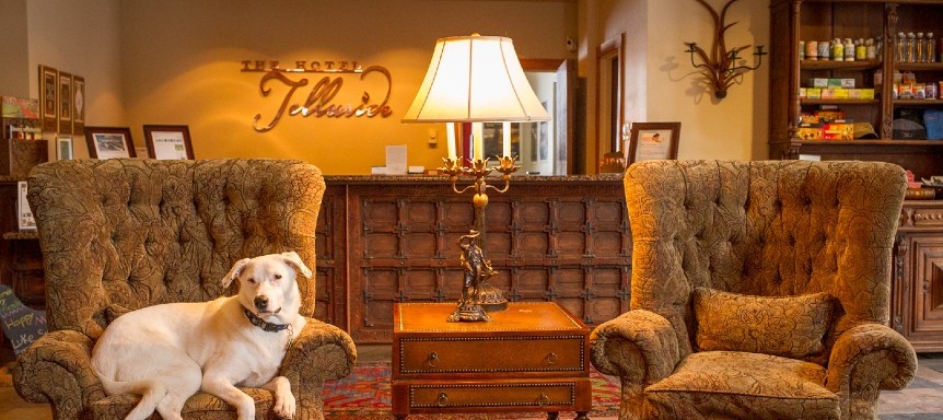 best pet friendly hotels