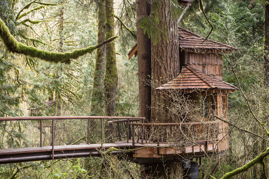 TreeHouse Point hotel cabin